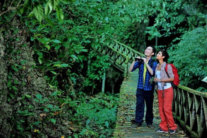 Historical Niah National Park Day Trip from Miri