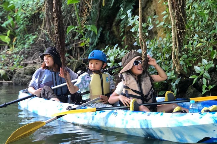 Mangrove kayaking to enjoy nature in Okinawa
