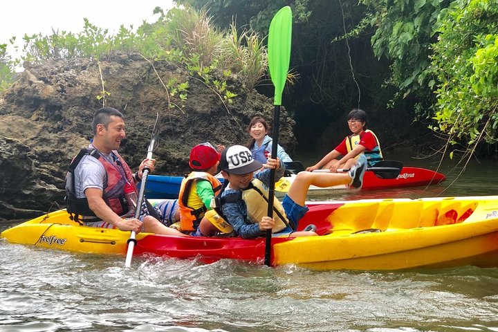 Mangrove kayaking to enjoy nature in Okinawa