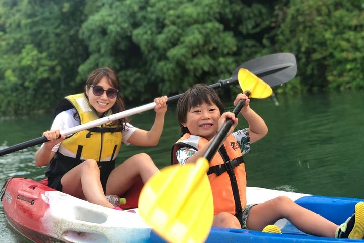 Mangrove kayaking to enjoy nature in Okinawa