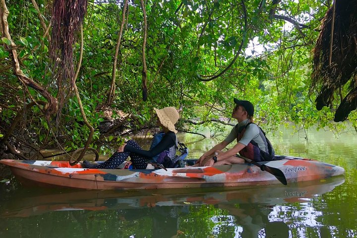 Mangrove kayaking to enjoy nature in Okinawa