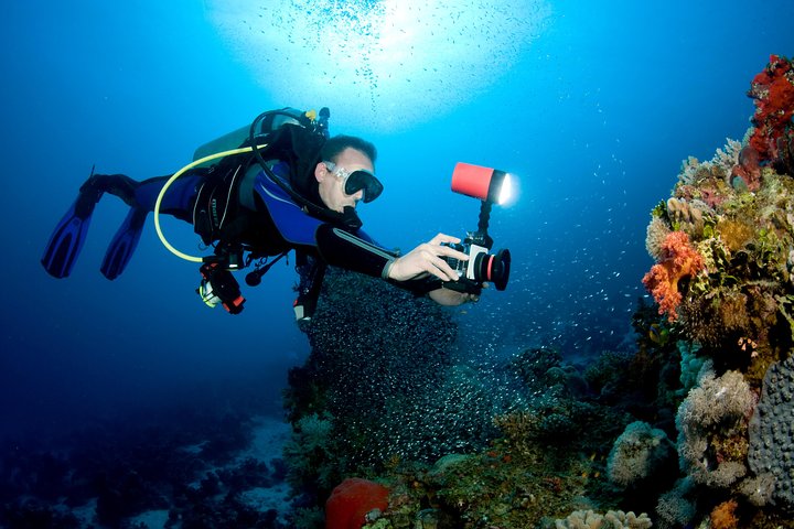 Menjangan island for Certified Scuba Divers full day boat trip, 2 dives + lunch