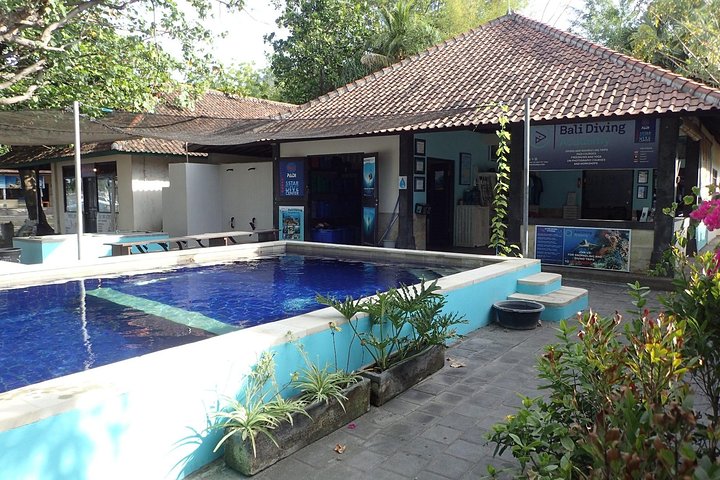 Discover Scuba Diving and dive in Menjangan Island Marine Park 2 dives