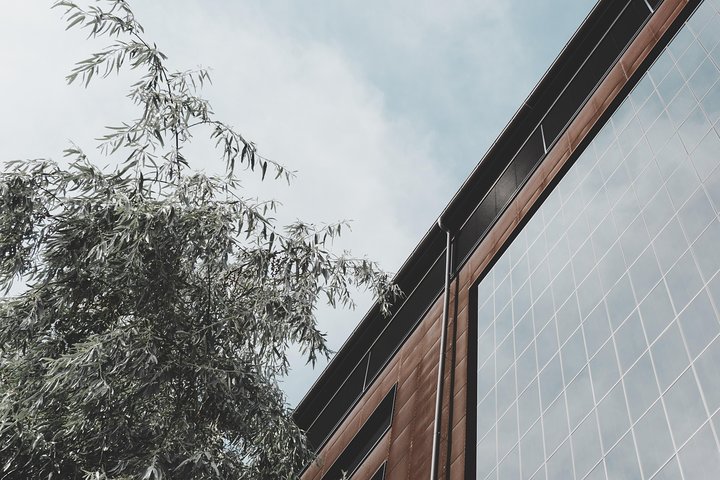 Architectural Mannheim: Private Tour with a Local Expert