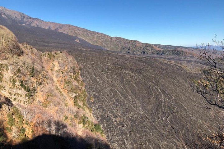 Etna Morning Tour from Catania