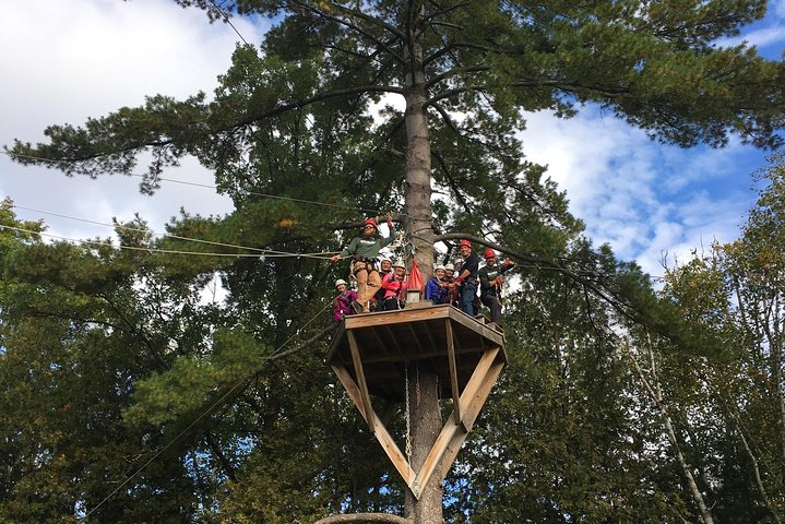 Wildman Zip Line Tour