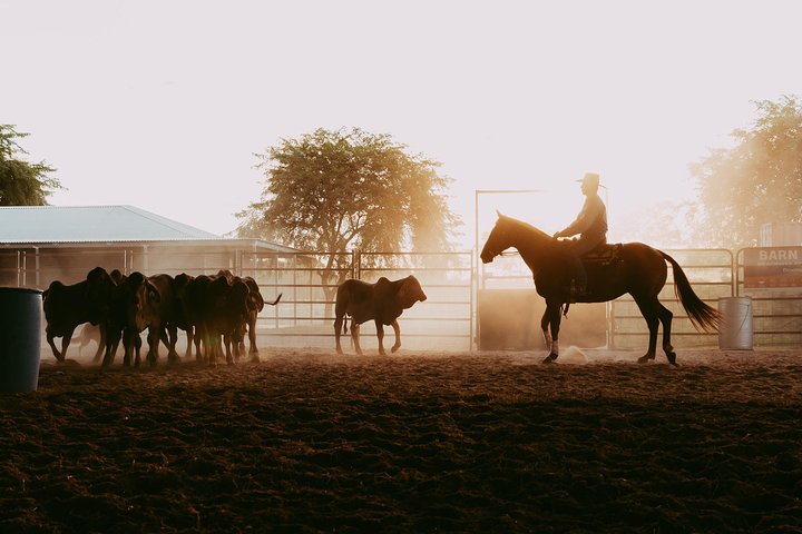 Katherine Outback Experience Show Ticket