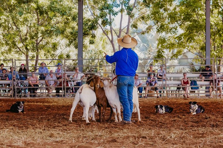 Katherine Outback Experience Show Ticket
