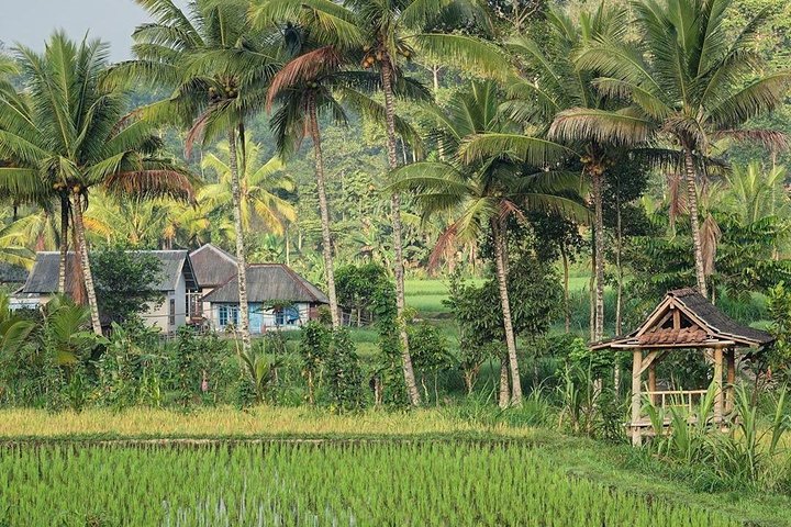 Tetebatu Walking Tour - Rice Terraces, Waterfall & Monkey Forest