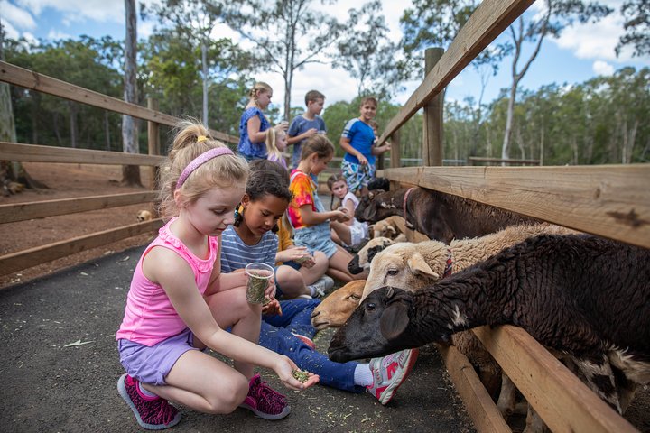 White Ridge Farm: Day Entry ticket