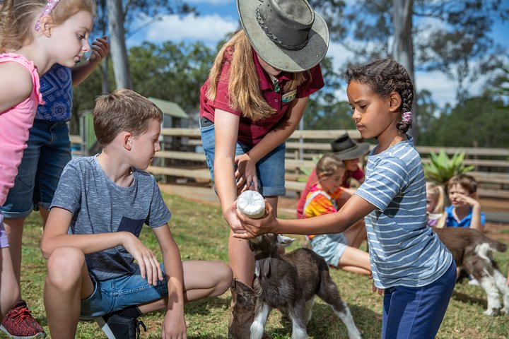 White Ridge Farm: Day Entry ticket