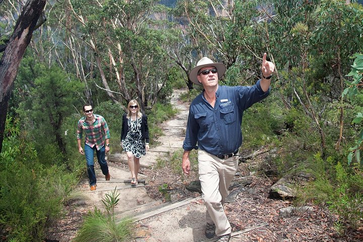 Blue Mountains Day Tour With Bushwalks, Waterfalls & Featherdale