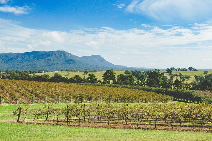 Award-Winning Hunter Valley Wine & Cheese Tour from Sydney