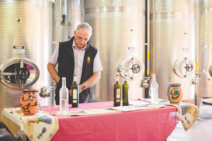 Award-Winning Hunter Valley Wine & Cheese Tour from Sydney