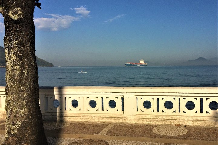 Shore Excursion - The Best of Santos - 6 hours - Private