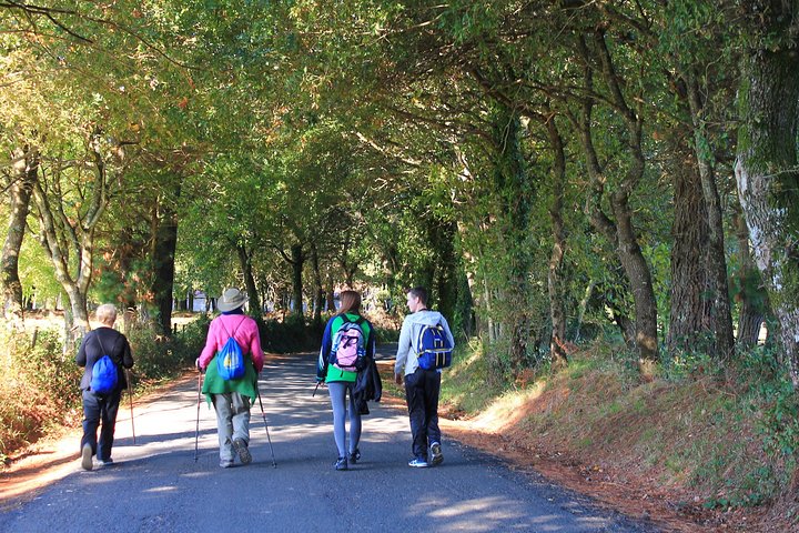8-Day Camino Frances Pilgrimage Tour from Sarria to Santiago - 6 walking days