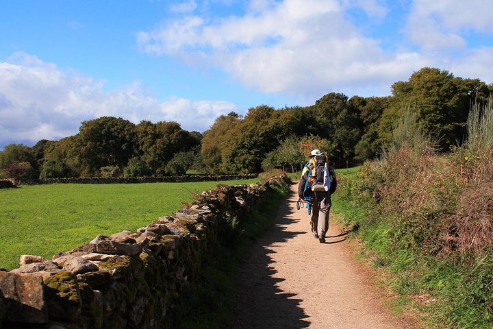 8-Day Camino Frances Pilgrimage Tour from Sarria to Santiago - 6 walking days