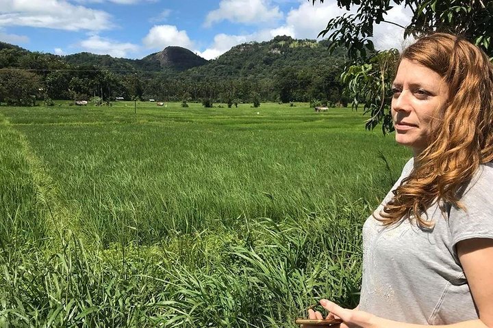 Private Day Trip to Sigiriya & Dambulla from Kandy – Aaliya Tours