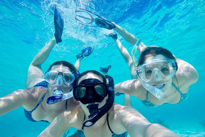 Half Day Private Boat Tour