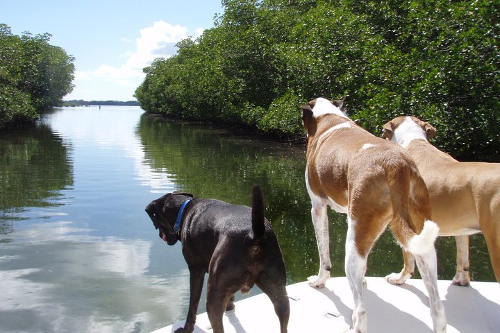 Half Day Private Boat Tour