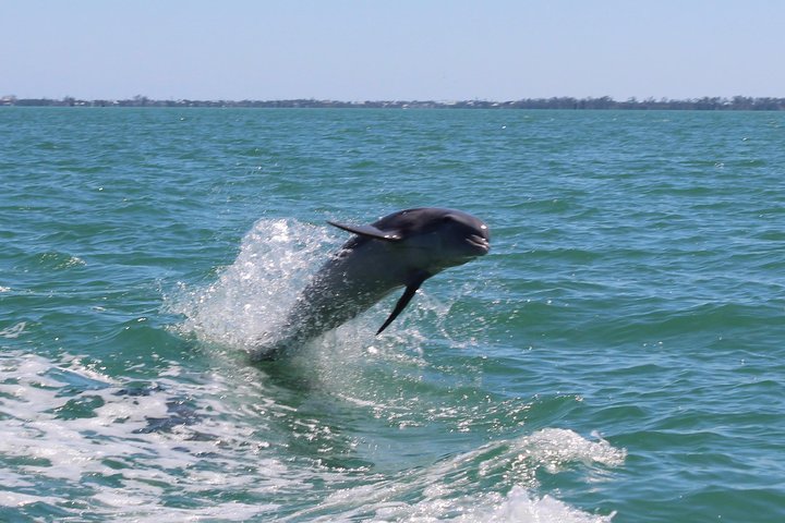 Half Day Private Boat Tour
