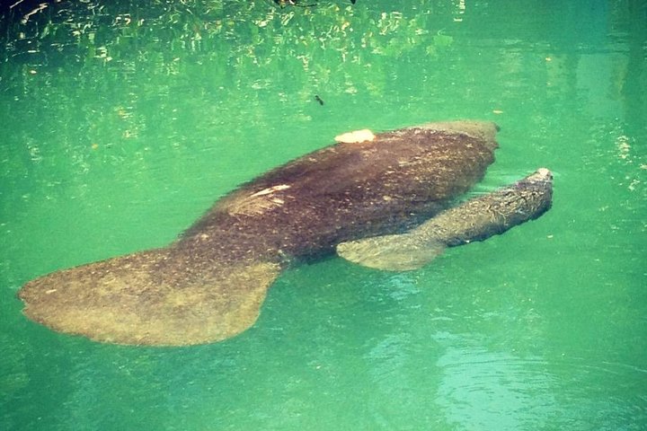 Half Day Private Boat Tour