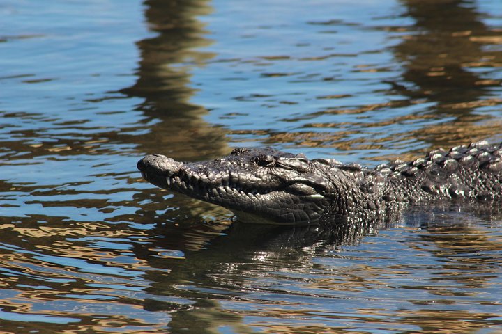Half Day Private Boat Tour