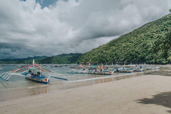 3-in-1 Adventure: Underground River, Zipline ride, and Mangrove Forest Tour