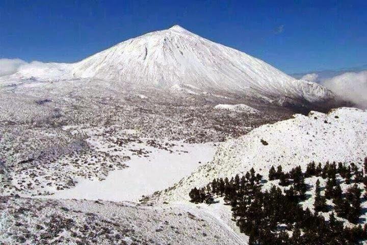 Teide Half Day National Park Bus Tour