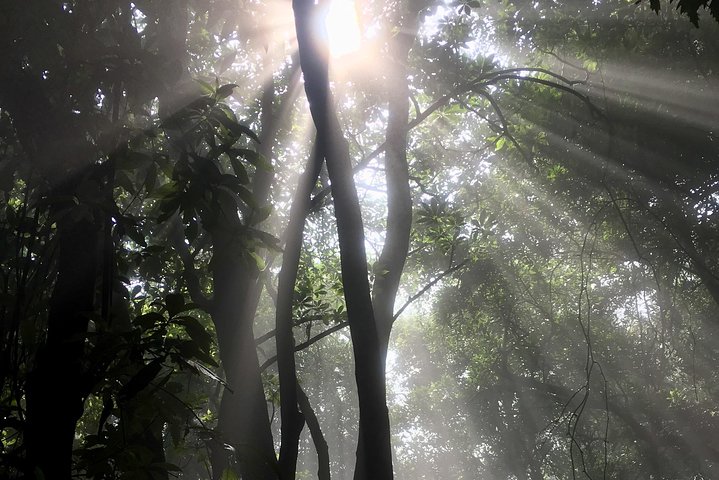 Private hike to active Izalco and Cerro Verde volcanoes. 2 volcanoes in one day!