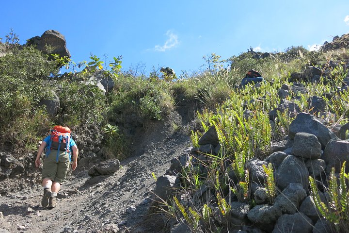 Private hike to active Izalco and Cerro Verde volcanoes. 2 volcanoes in one day!