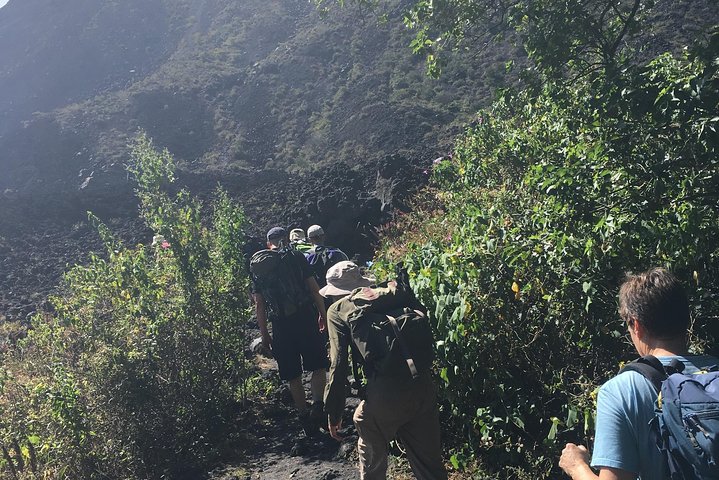 Private hike to active Izalco and Cerro Verde volcanoes. 2 volcanoes in one day!