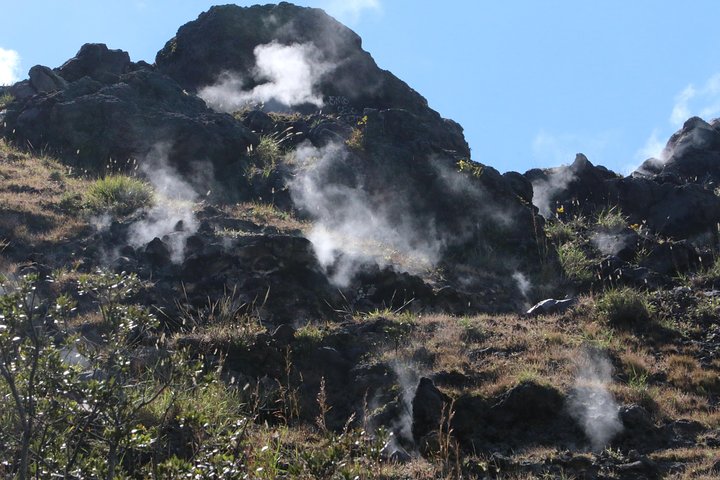 Private hike to active Izalco and Cerro Verde volcanoes. 2 volcanoes in one day!