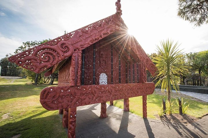 Waitomo Caves & Rotorua + Te Puia Small-Group Tour from Auckland