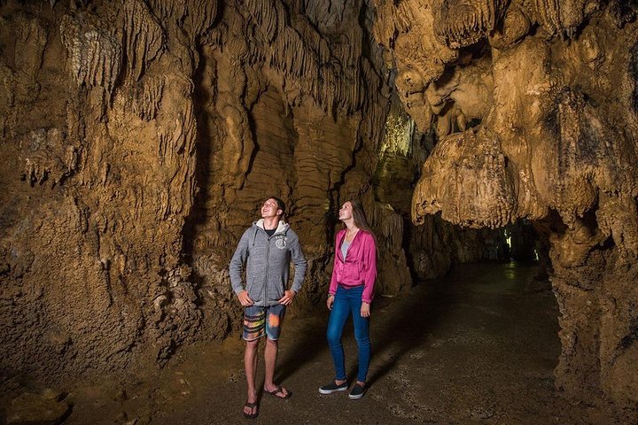 Hobbiton & Waitomo Glowworm Caves Tour with Lunch from Auckland
