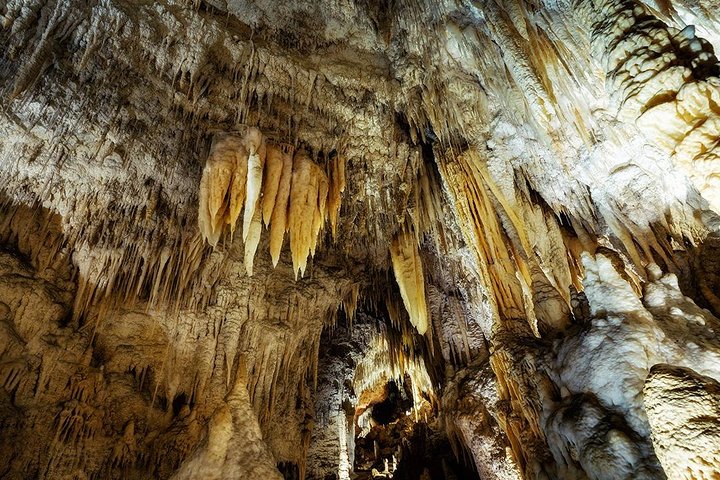 Hobbiton & Waitomo Glowworm Caves Tour with Lunch from Auckland