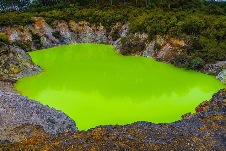 Hobbiton & Rotorua including Waiotapu Day Tour from Auckland