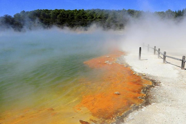 Hobbiton & Rotorua including Waiotapu Day Tour from Auckland