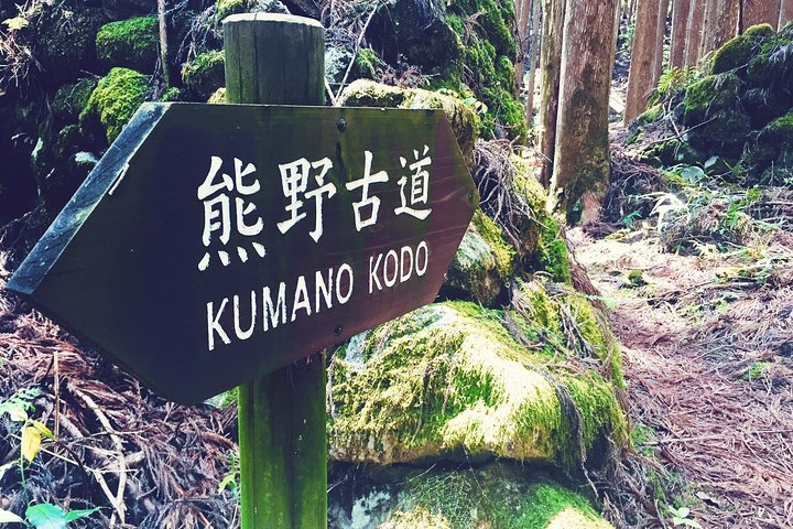 Kumano Kodo Pilgrimage in 1 Day Hike with Licensed Guide