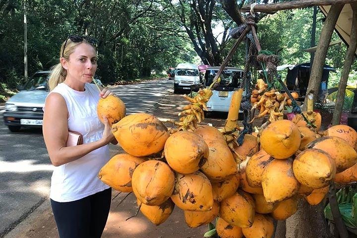 Private Day Trip to Sigiriya & Dambulla from Kandy – Aaliya Tours