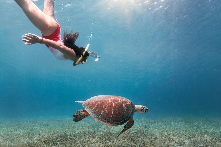 Culebra Snorkel with Turtles & Flamenco Beach Adventure by Ferry