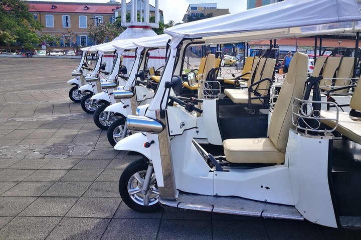 Guided tour by electric tuk-tuk
