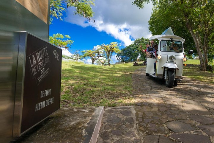 Guided tour by electric tuk-tuk