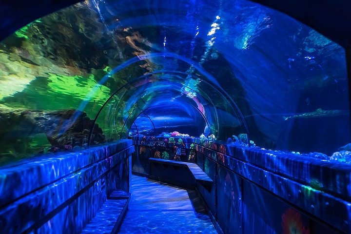 SEA LIFE Brighton Admission Ticket