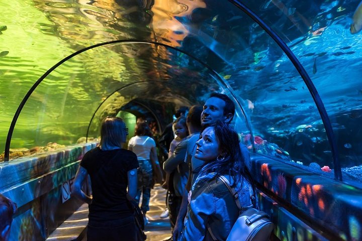 SEA LIFE Brighton Admission Ticket