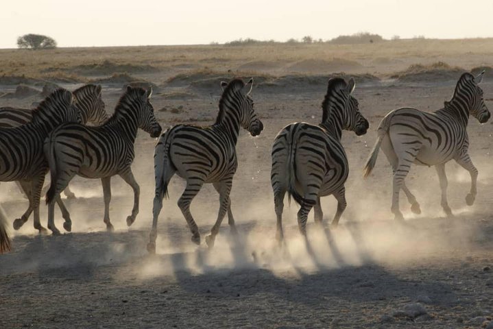 Makgadikgadi Pans Overnight:sleep under the stars| from kasane