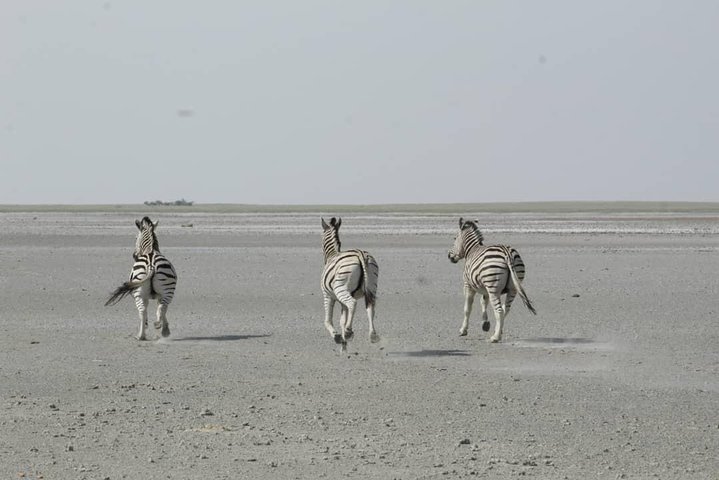 Makgadikgadi Pans Overnight:sleep under the stars| from kasane