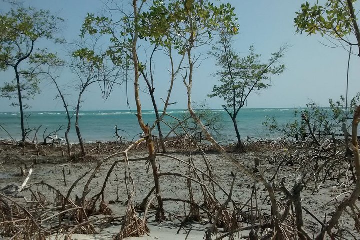 Jericoacoara West Coastal Tour
