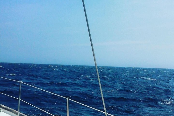 Sailing to Tayrona with Luis and his team: Unique!