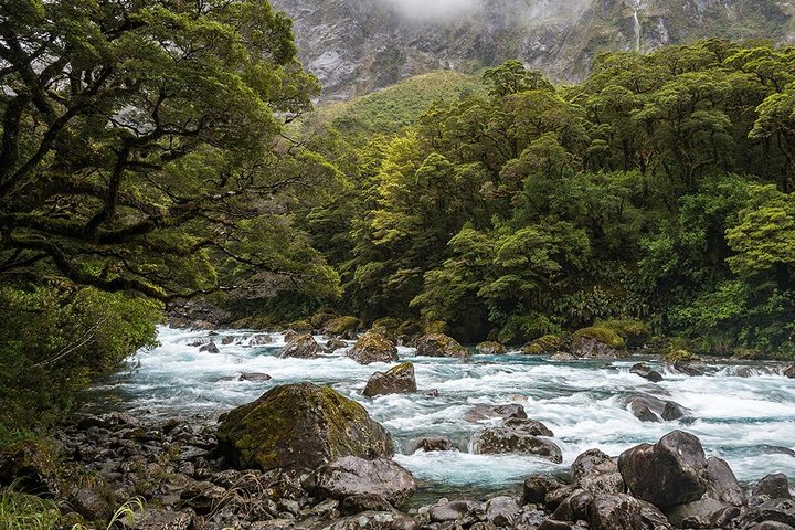 Premium Milford Sound Tour, Cruise & Lunch from Te Anau